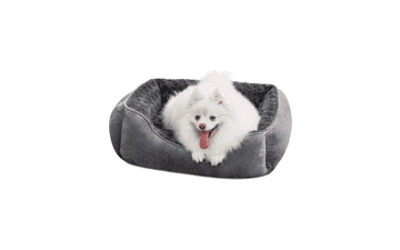 JOEJOY Orthopedic Dog Bed - Washable & Calming