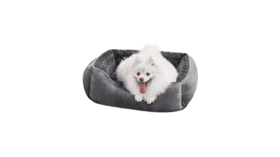 JOEJOY Orthopedic Dog Bed - Washable & Calming