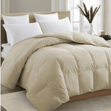 King Size Beige Comforter Set - All Season Down Alternative