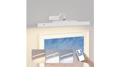 Rechargeable Picture Light - 3 Color Temps, Remote Control