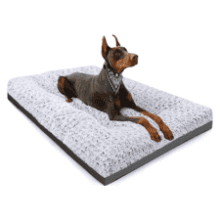 XL Washable Dog Bed - 41" Comfy Kennel Pad for Large Dogs