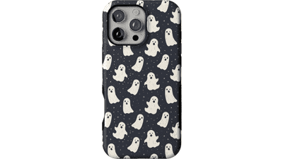 Casely iPhone 16 Pro Max Case