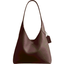 Coach Brooklyn Shoulder Bag