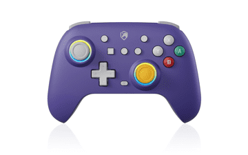 ECHTPower Switch Pro Controller