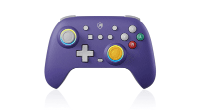 ECHTPower Switch Pro Controller