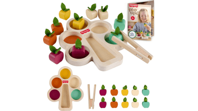 Montessori Wooden Sorting Tree - Ages 3+