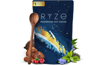 Mushroom Hot Cocoa Sleep Supplement