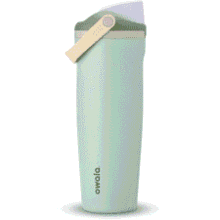 Owala FreeSip 30oz - Eucalyptus Green
