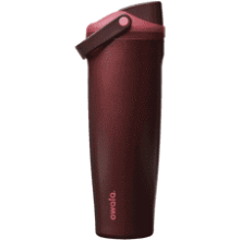 Owala Insulated Water Bottle