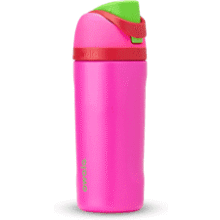 Owala Kids' 16oz Insulated Water Bottle - All the Berries