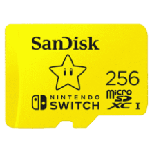 SanDisk 256GB microSDXC Card
