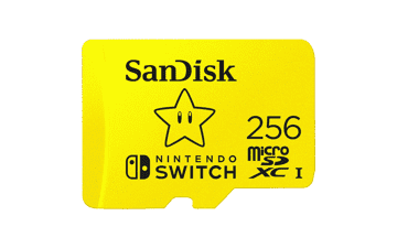 SanDisk 256GB microSDXC Card