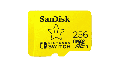 SanDisk 256GB microSDXC Card