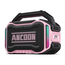 80W Bluetooth Wireless Speaker