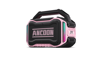 80W Bluetooth Wireless Speaker