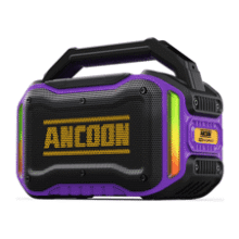 80W Portable Bluetooth Speaker