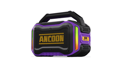 80W Portable Bluetooth Speaker