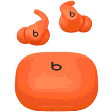 Beats Powerbeats Fit Earbuds