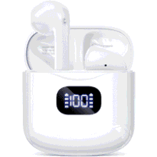 Bluetooth 5.3 Wireless Earbuds