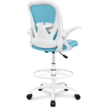 Ergonomic Office Chair