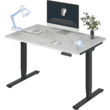 FLEXISPOT E6 Standing Desk