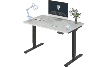 FLEXISPOT E6 Standing Desk