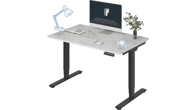 FLEXISPOT E6 Standing Desk