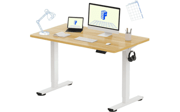 FLEXISPOT EN1 Standing Desk