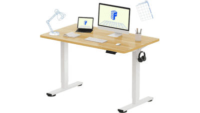 FLEXISPOT EN1 Standing Desk