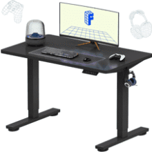 FLEXISPOT Electric Standing Desk