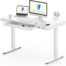 FLEXISPOT Electric Standing Desk