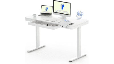 FLEXISPOT Electric Standing Desk