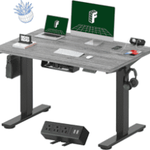 FLEXISPOT Electric Standing Desk