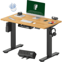 FLEXISPOT Electric Standing Desk