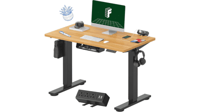 FLEXISPOT Electric Standing Desk