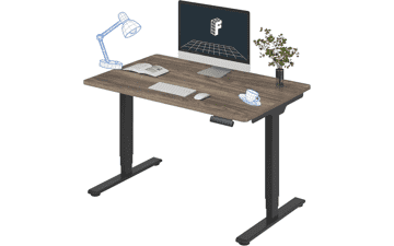 FLEXISPOT Electric Standing Desk