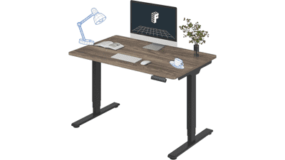 FLEXISPOT Electric Standing Desk