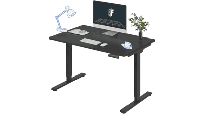FlexiSpot E6 Standing Desk