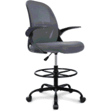Primy Ergonomic Office Chair