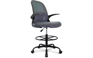 Primy Ergonomic Office Chair