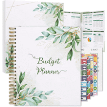 SOLIGT Budget Planner