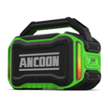 80W Bluetooth Wireless Speaker