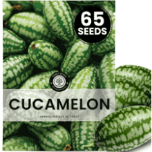 Cucamelon Seeds for Planting