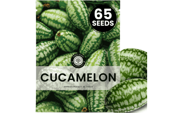 Cucamelon Seeds for Planting