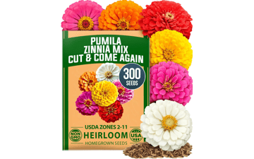 Dwarf Zinnia Seeds Mix