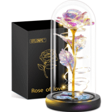 Eternal Love Rose Gift
