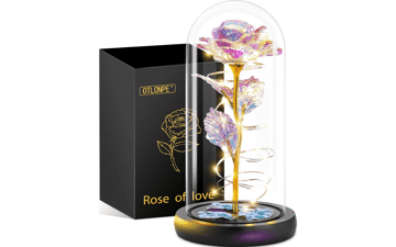 Eternal Love Rose Gift