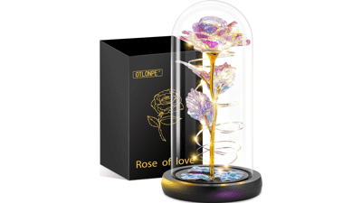 Eternal Love Rose Gift