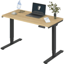 FLEXISPOT E6 Standing Desk
