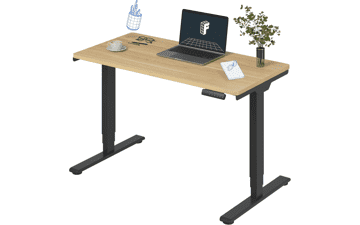 FLEXISPOT E6 Standing Desk
